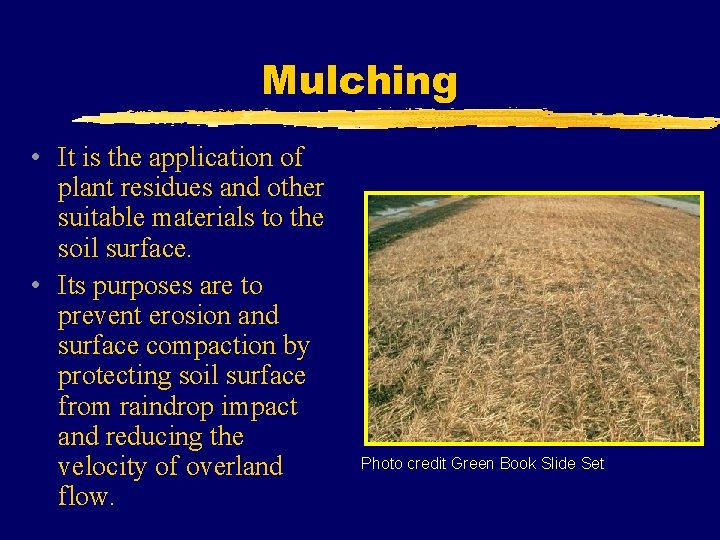 Mulching • It is the application of plant residues and other suitable materials to