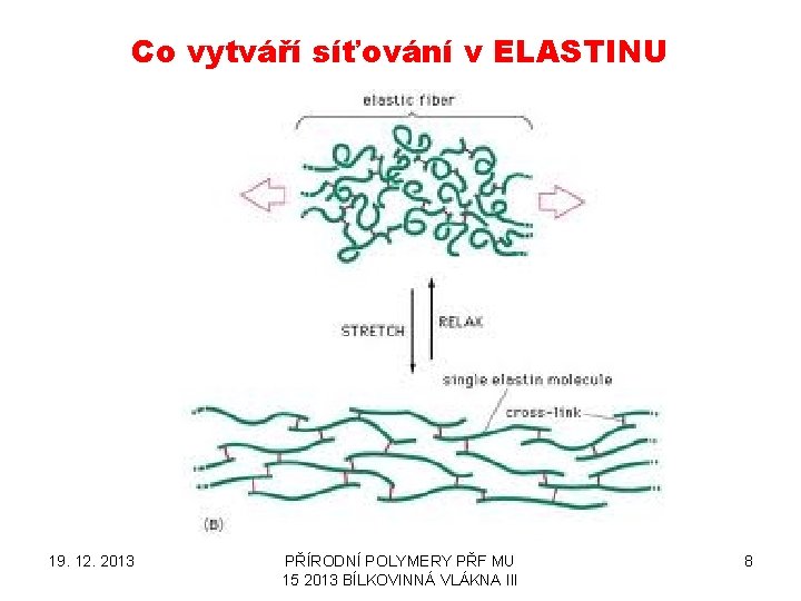 Co vytváří síťování v ELASTINU 19. 12. 2013 PŘÍRODNÍ POLYMERY PŘF MU 15 2013