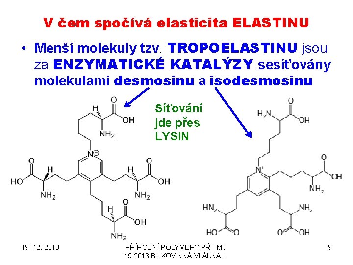 V čem spočívá elasticita ELASTINU • Menší molekuly tzv. TROPOELASTINU jsou za ENZYMATICKÉ KATALÝZY