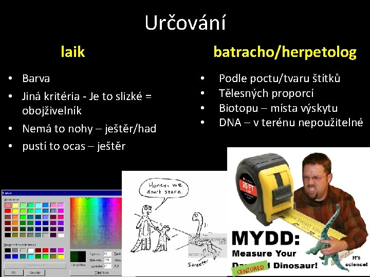Určování laik • Barva • Jiná kritéria - Je to slizké = obojživelník •