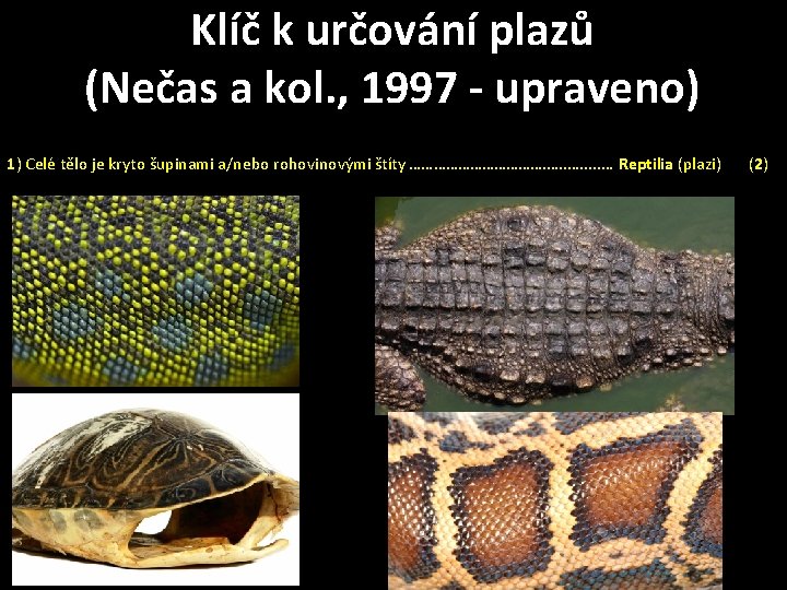 Klíč k určování plazů (Nečas a kol. , 1997 - upraveno) 1) Celé tělo