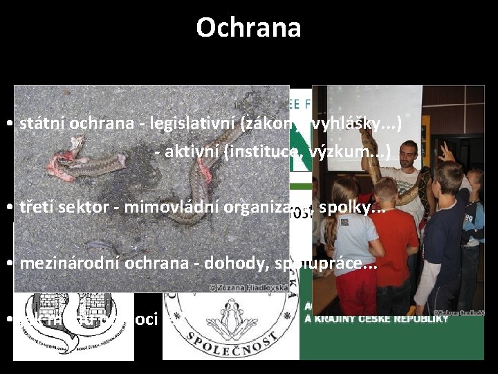 Ochrana • státní ochrana - legislativní (zákony, vyhlášky. . . ) - aktivní (instituce,