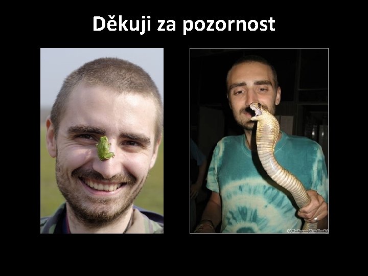 Děkuji za pozornost 