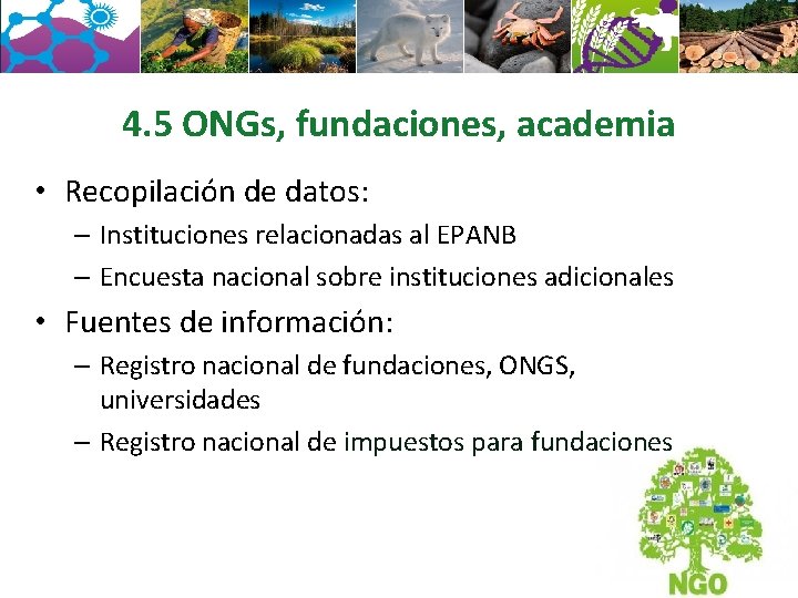 4. 5 ONGs, fundaciones, academia • Recopilación de datos: – Instituciones relacionadas al EPANB