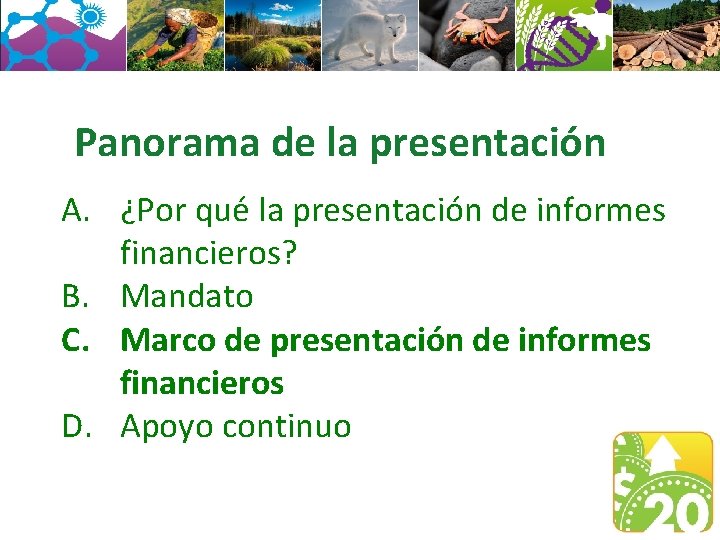 Panorama de la presentación A. ¿Por qué la presentación de informes financieros? B. Mandato