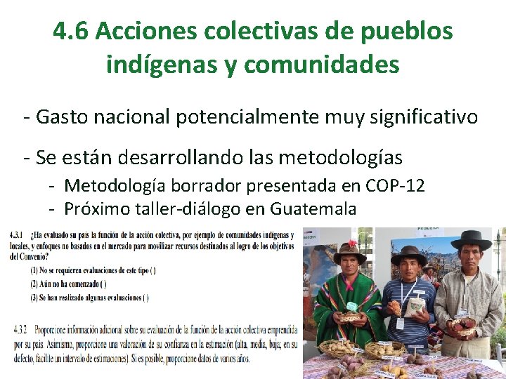 4. 6 Acciones colectivas de pueblos indígenas y comunidades - Gasto nacional potencialmente muy