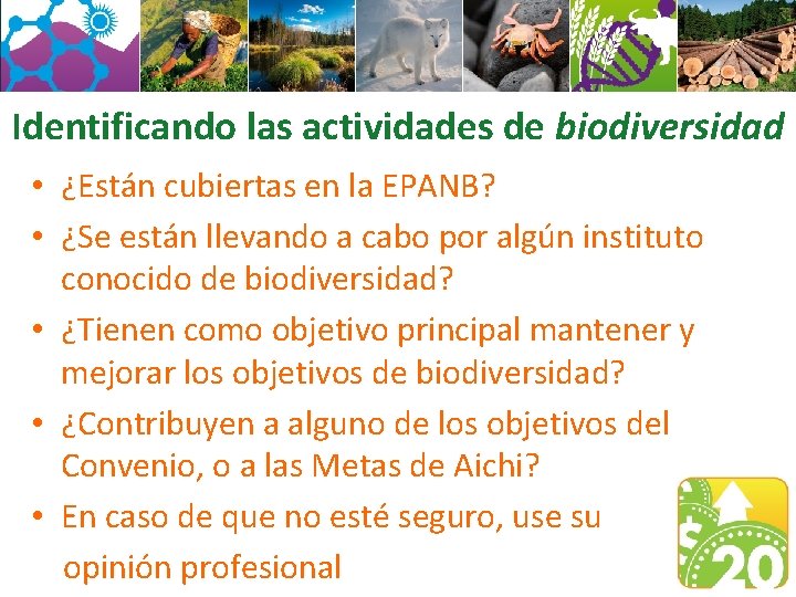 Identificando las actividades de biodiversidad • ¿Están cubiertas en la EPANB? • ¿Se están