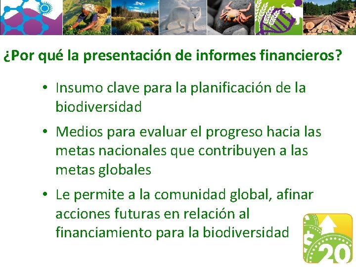 ¿Por qué la presentación de informes financieros? • Insumo clave para la planificación de