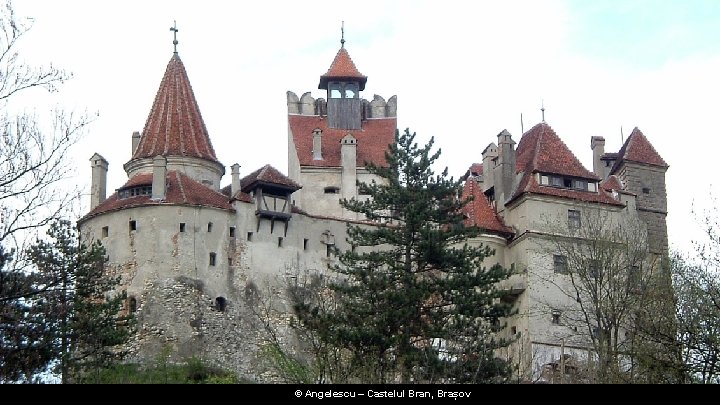 © Angelescu – Castelul Bran, Brașov 