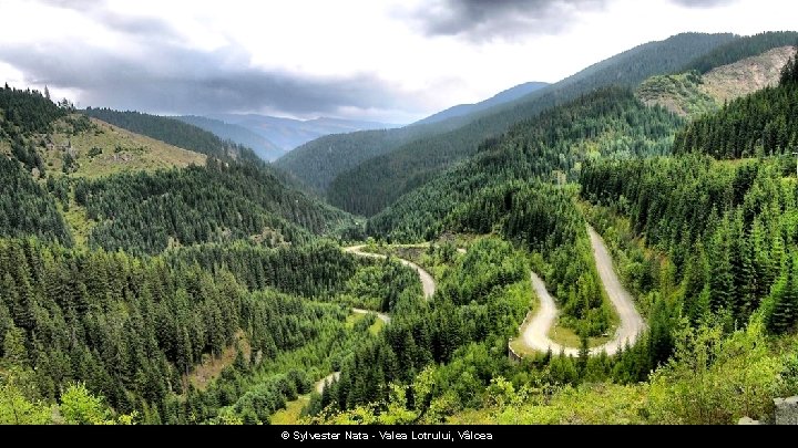 © Sylvester Nata - Valea Lotrului, Vâlcea 