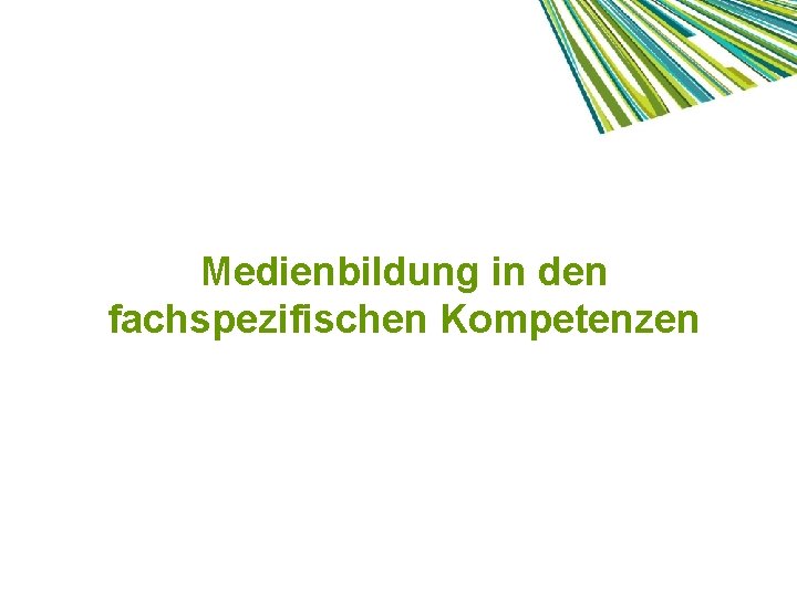 Medienbildung in den fachspezifischen Kompetenzen 