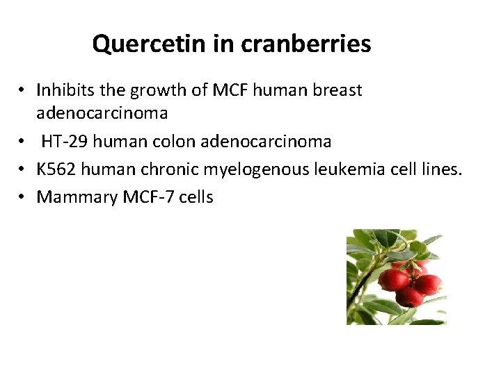 Quercetin in cranberries • Inhibits the growth of MCF human breast adenocarcinoma • HT-29