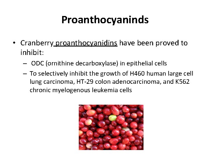 Proanthocyaninds • Cranberry proanthocyanidins have been proved to inhibit: – ODC (ornithine decarboxylase) in