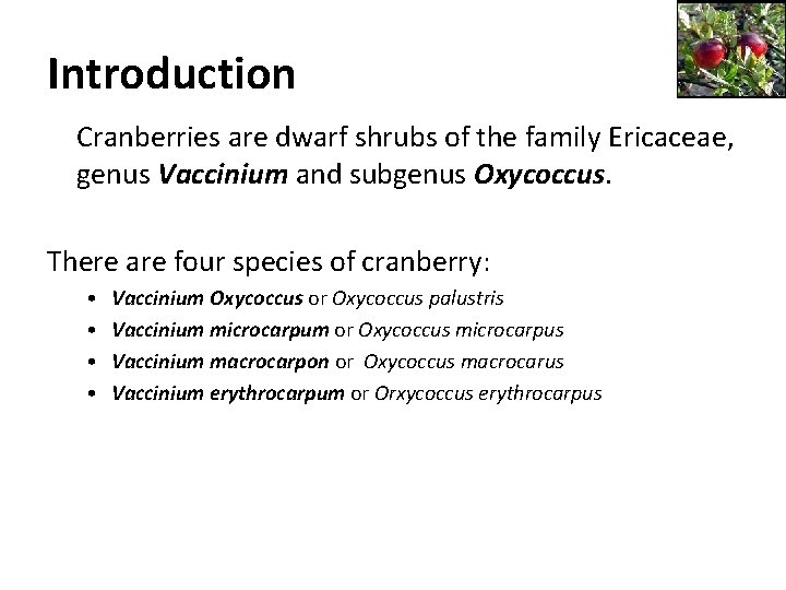 Introduction Cranberries are dwarf shrubs of the family Ericaceae, genus Vaccinium and subgenus Oxycoccus.