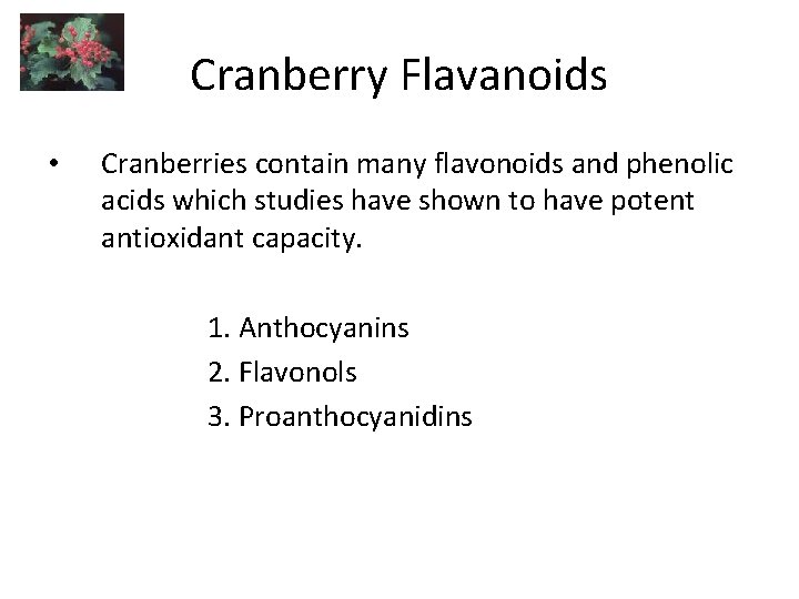 Cranberry Flavanoids • Cranberries contain many flavonoids and phenolic acids which studies have shown