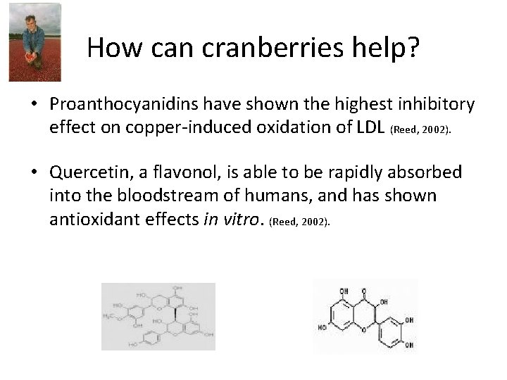 How can cranberries help? • Proanthocyanidins have shown the highest inhibitory effect on copper-induced