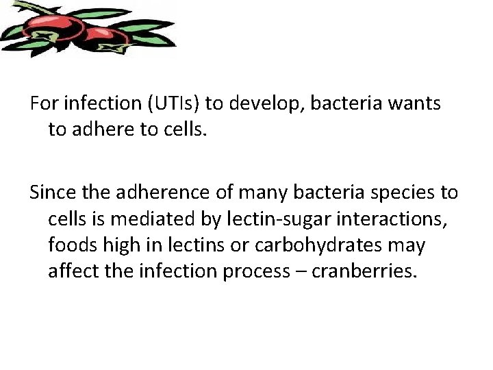 For infection (UTIs) to develop, bacteria wants to adhere to cells. Since the adherence