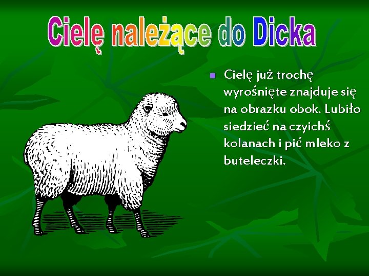 n Cielę już trochę wyrośnięte znajduje się na obrazku obok. Lubiło siedzieć na czyichś