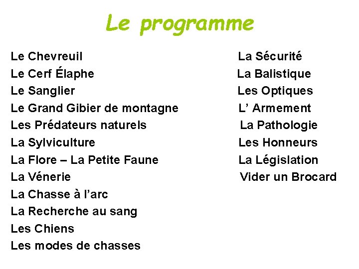 Le programme Le Chevreuil Le Cerf Élaphe Le Sanglier Le Grand Gibier de montagne