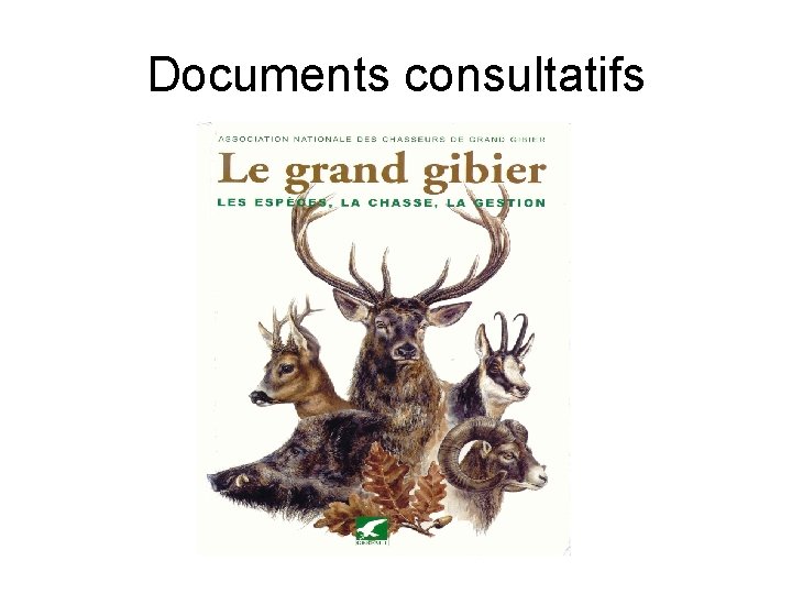 Documents consultatifs 