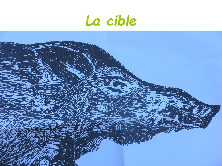 La cible 