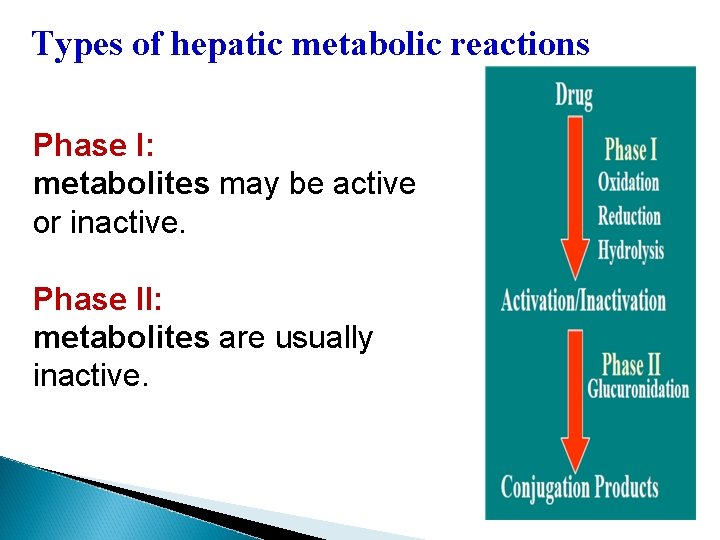 Types of hepatic metabolic reactions Phase I: metabolites may be active or inactive. Phase