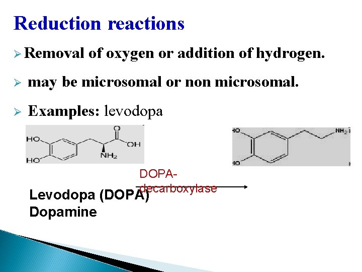 Reduction reactions Ø Removal of oxygen or addition of hydrogen. Ø may be microsomal