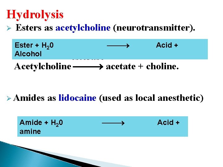 Hydrolysis Ø Esters as acetylcholine (neurotransmitter). Ester + H 20 Alcohol Acid + esterase