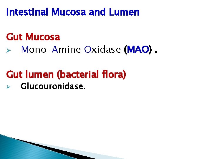 Intestinal Mucosa and Lumen Gut Mucosa Ø Mono-Amine Oxidase (MAO). Gut lumen (bacterial flora)