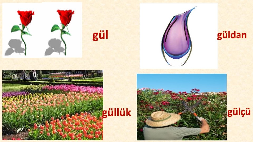 gül güllük güldan gülçü 