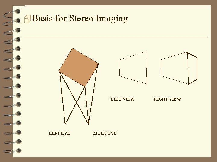 4 Basis for Stereo Imaging LEFT VIEW LEFT EYE RIGHT VIEW 