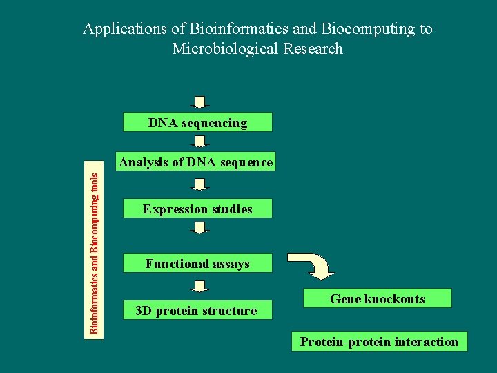 Applications of Bioinformatics and Biocomputing to Microbiological Research DNA sequencing Bioinformatics and Biocomputing tools