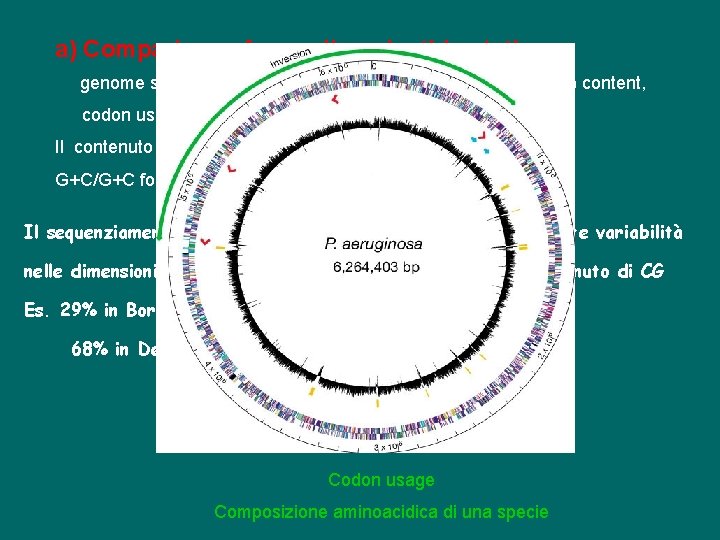 a) Comparison of overall nucleotide statics genome size, overall (G+C) content, regions of different