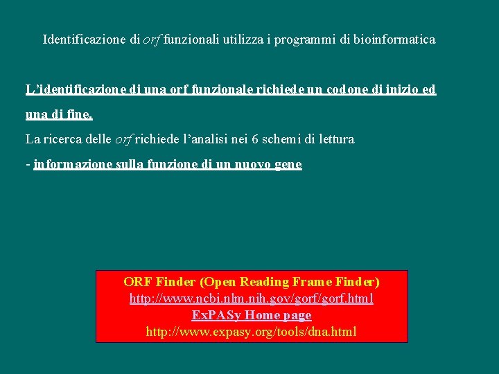 Identificazione di orf funzionali utilizza i programmi di bioinformatica L’identificazione di una orf funzionale