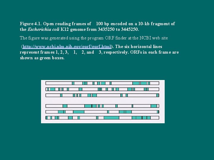 Figure 4. 1. Open reading frames of 100 bp encoded on a 10 -kb