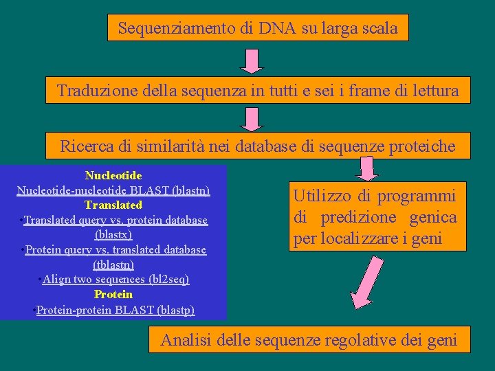 Sequenziamento di DNA su larga scala Traduzione della sequenza in tutti e sei i