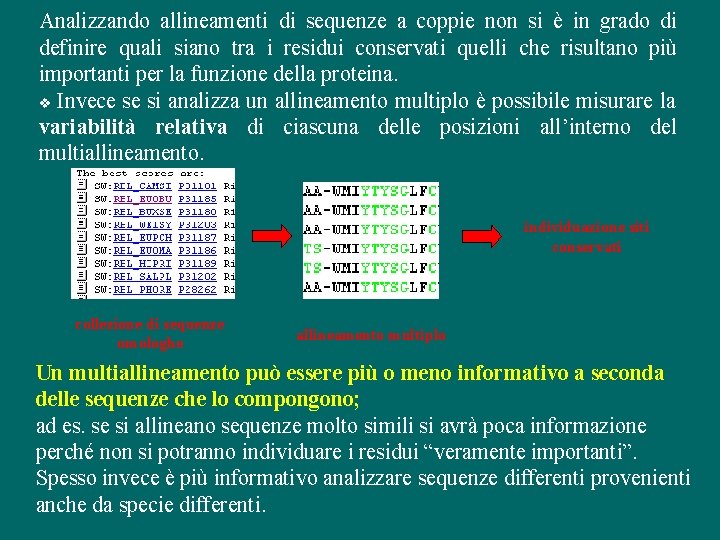 Analizzando allineamenti di sequenze a coppie non si è in grado di definire quali