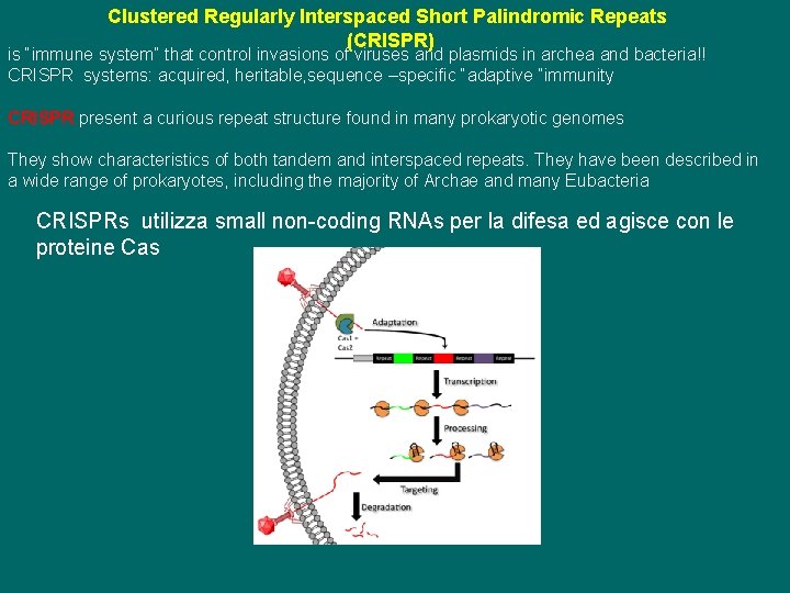 Clustered Regularly Interspaced Short Palindromic Repeats (CRISPR) is “immune system” that control invasions of