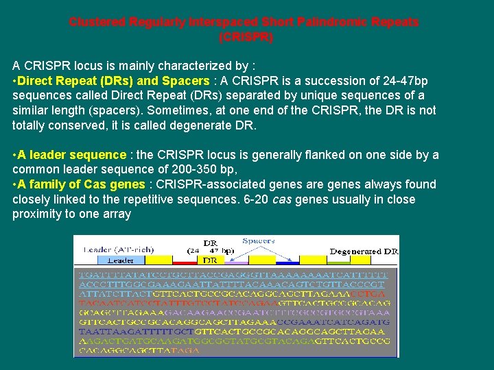 Clustered Regularly Interspaced Short Palindromic Repeats (CRISPR) A CRISPR locus is mainly characterized by