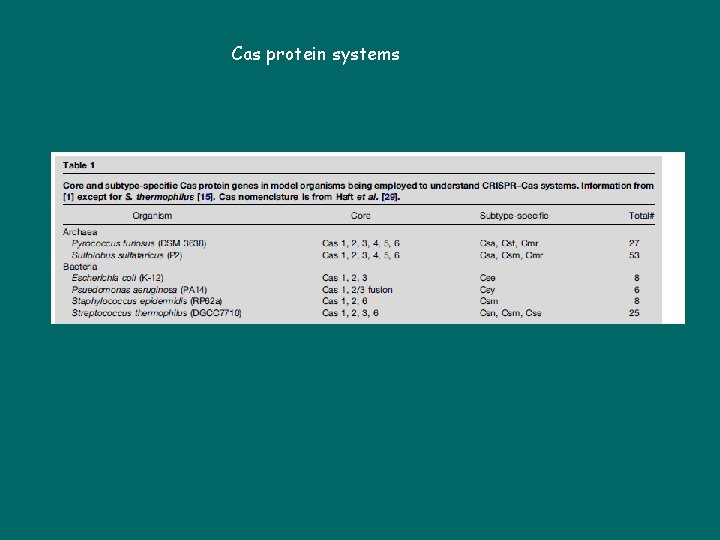 Cas protein systems 