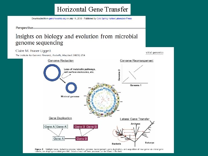 Horizontal Gene Transfer 