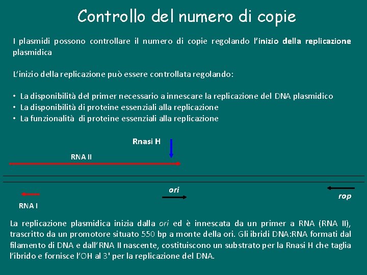 Controllo del numero di copie I plasmidi possono controllare il numero di copie regolando