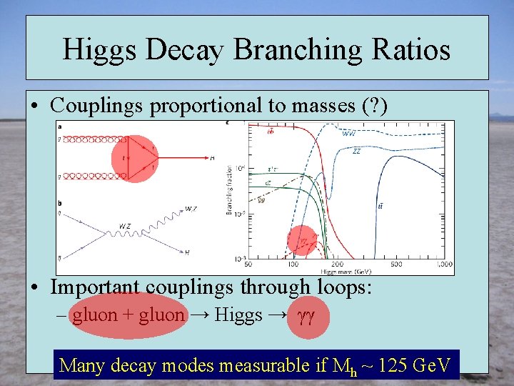 Higgs Decay Branching Ratios • Couplings proportional to masses (? ) • Important couplings