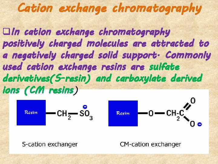 Cation exchange chromatography q. In cation exchange chromatography positively charged molecules are attracted to