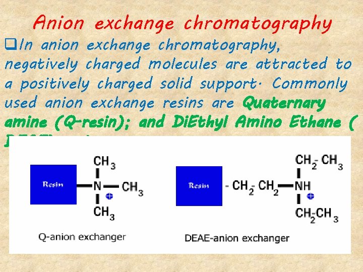 Anion exchange chromatography q. In anion exchange chromatography, negatively charged molecules are attracted to