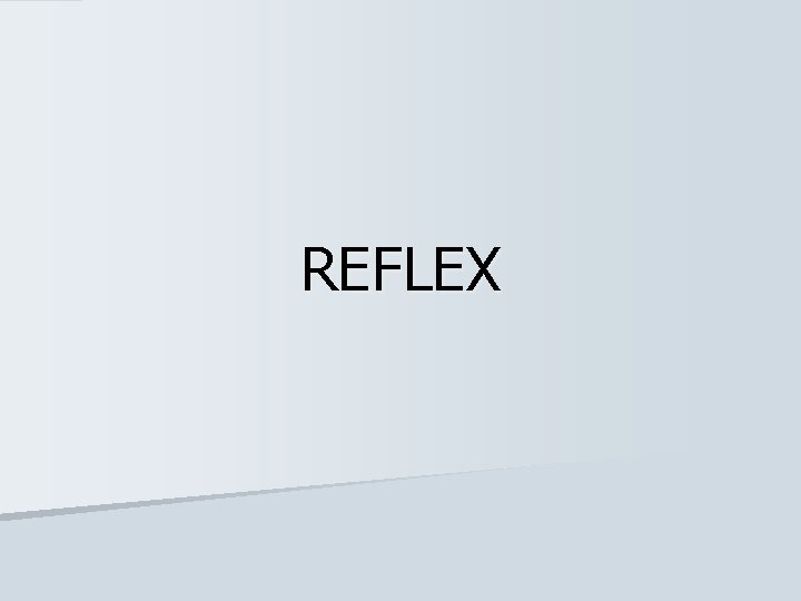 REFLEX 