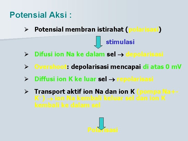 Potensial Aksi : Ø Potensial membran istirahat (polarisasi) stimulasi Ø Difusi ion Na ke