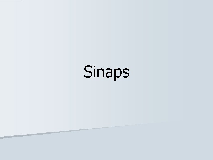 Sinaps 