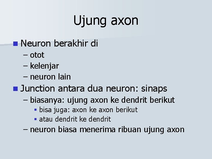 Ujung axon n Neuron berakhir di – otot – kelenjar – neuron lain n