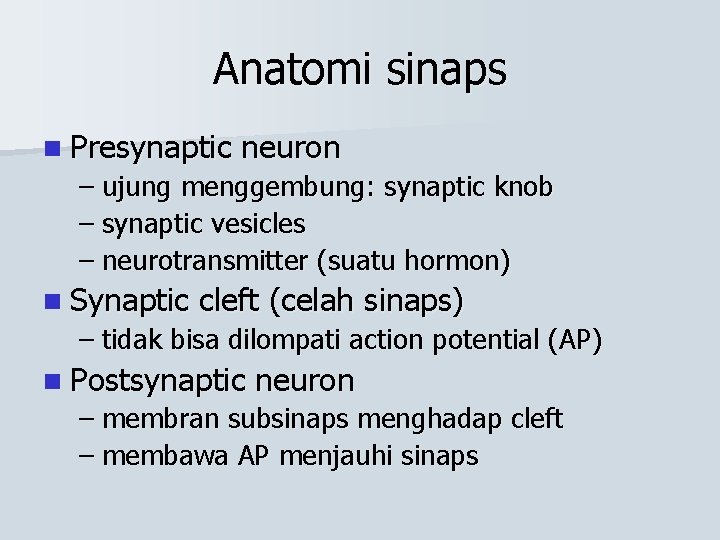 Anatomi sinaps n Presynaptic neuron – ujung menggembung: synaptic knob – synaptic vesicles –